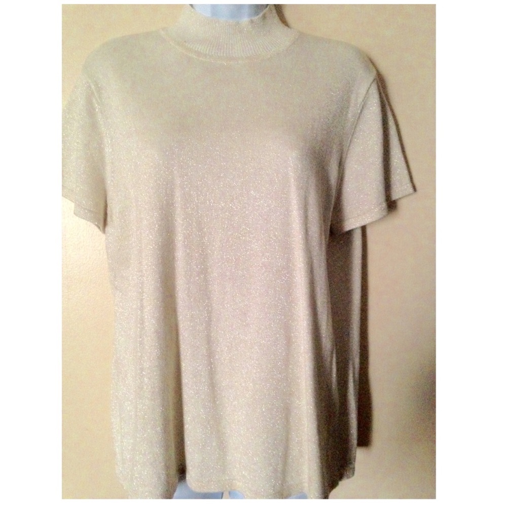 Shimmer Neck Top